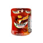 آدامس دارچین تریدنت Trident بدون شکر بسته 40 عددی ارس یاب